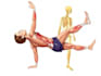 draw exercise, medical and anatomy illustrations