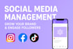 manage your social media pages professionally