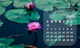 design a professional desk calendar with elegant themes