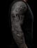 professionally design your sleeve tattoo , chest tattoo
