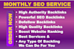 provide monthly off page SEO with high authority backlinks