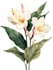 illustrate best botanical illustration