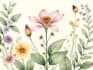 illustrate best botanical illustration