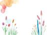 paint water colour  illustrations