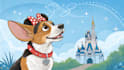create amazing disney pet portrait