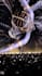 create vj loops concert stage show dj visual concerts led screen animation