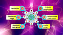 create and optimize all social media accounts professionally