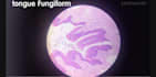 be providing histology slides for medical students
