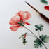 draw botanical illustration, flowers, fruits