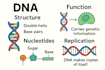 make biology and chemistry study notes and diagrams