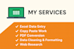 do fast and accurate data entry, copy paste, and excel typing