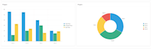 build professional oracle apex dashboards and reports