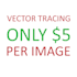 professional raster to vector conversion