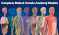 create professional 3d medical animation