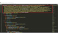 do penetration testing, detect vulnerability and do malware removal