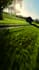 shoot cinematic fpv drone footage for any purpose