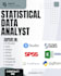 do statistical data analysis in python, spss, r, stata, excel, tableau, power bi