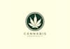 design minimalist weed, cbd, marijuana and cannabis logo with new concept