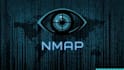 do pentesting of websites and applications