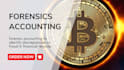 do forensic accounting and asset tracing for forensic audit