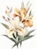 draw botanical and flower line art illustration