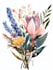 draw realistic botanical illustration