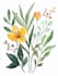 illustrate best botanical illustration