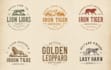 design a hand drawn boho business logo design