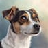 paint stunning pet portrait
