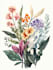 draw a botanical illustration
