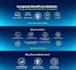 build a custom wordpress website with free SEO
