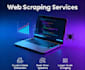 scrape websites and extract business data