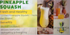 create professional canva graphic designs