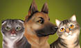 draw artistic pet portrait in digital art style illustration