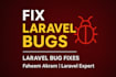 fix any laravel bugs, errors, or issues professionally