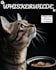 create modern , aesthetic posters and menu design for cafe