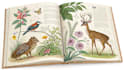 draw animals, plants or encyclopedia book illustrations