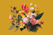 create amazing botanical illustration