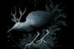 draw dark art animal illustration