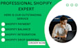 professionally setup shopify payment and balance