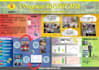 create simple and eye catching designs using canva