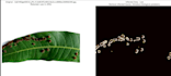 provide object detection and computer vision solutions