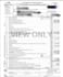 expertly file US tax returns 1040, 1040nr, 1120s, 1120, 1065