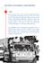 write articles, blog posts, and scripts