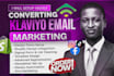 setup klaviyo, shopify ecommerce flows, SMS automation and omnisend email flows