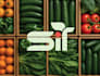 design 3d mockups, tree, leaf, garden, and vegetable logo