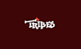do professional custom logo animation