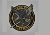 design professional army, military, or skull logo