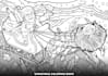 draw custom black and white line art for your project