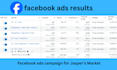 setup and manage profitable facebook ads and smart fb ads campaing